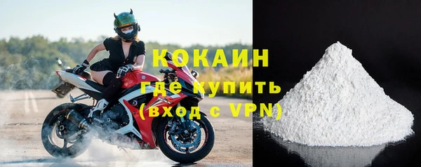 сатива Инсар