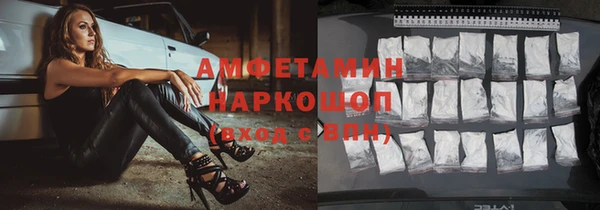 сатива Инсар