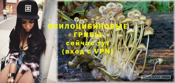 ECSTASY Иннополис