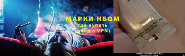 сатива Инсар