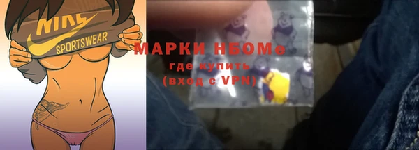 сатива Инсар