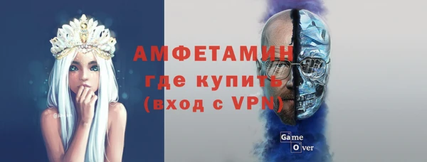 сатива Инсар