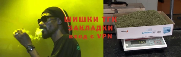 сатива Инсар