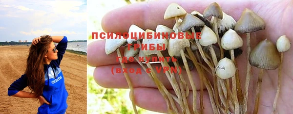 ECSTASY Иннополис