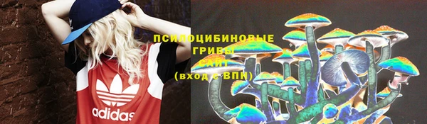 PSILOCYBIN Зерноград